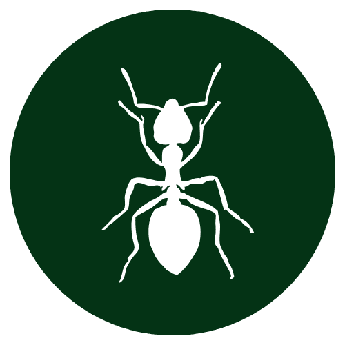 Minor Skin Infections
