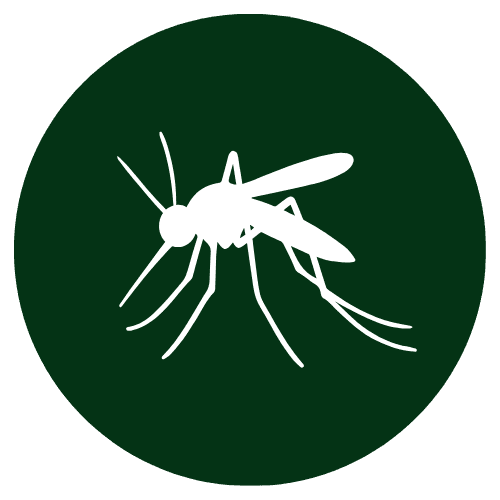 Minor Skin Infections